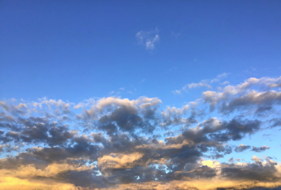 A139367E-72B7-4394-9FFC-73A393E9B8DD.jpeg