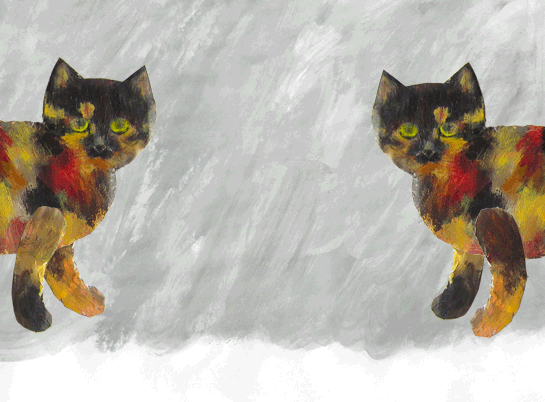 A8AEB483-26FF-46EB-AB58-22B2464F25D4.gif