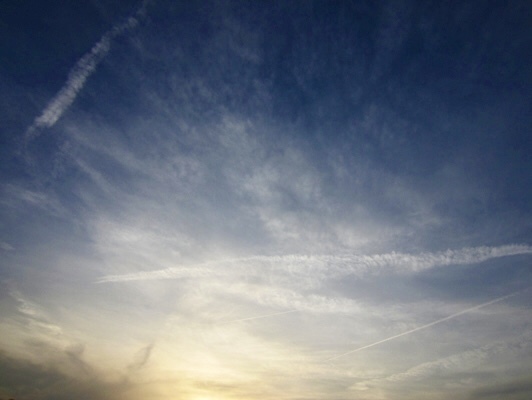 IMG_4232.jpeg