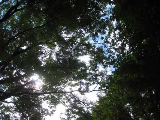 IMG_47690.jpeg