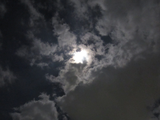 IMG_50010.jpeg