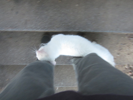 IMG_52180.jpeg