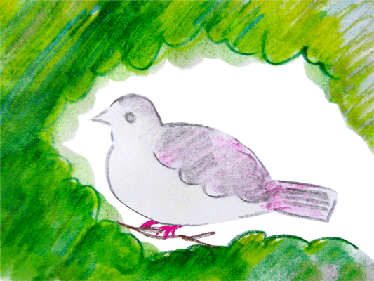 pigeon00.gif